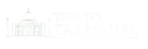 Trip to taj mahal logo