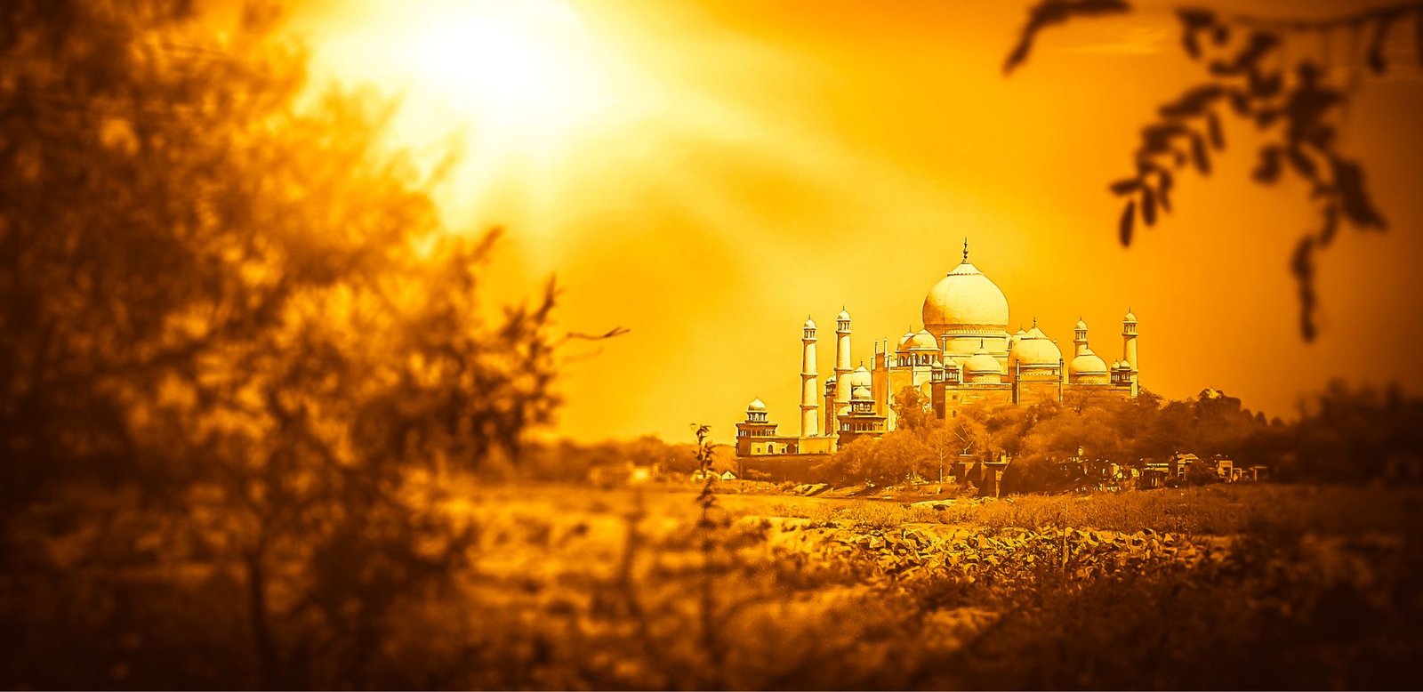 About Trip to Taj Mahal Your Trusted India Tour Operator