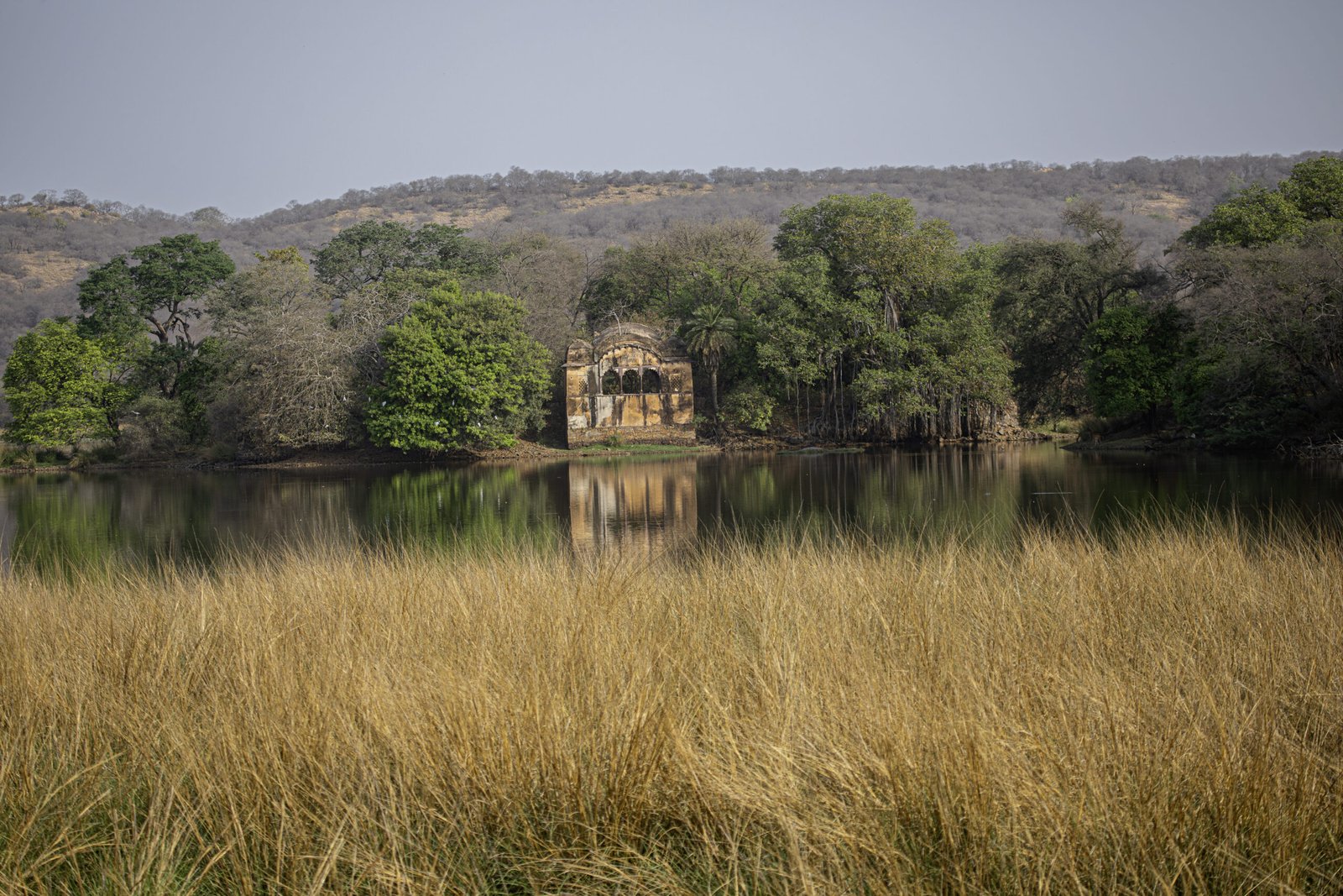 Golden Triangle Tour with Tiger Safari Ranthambore