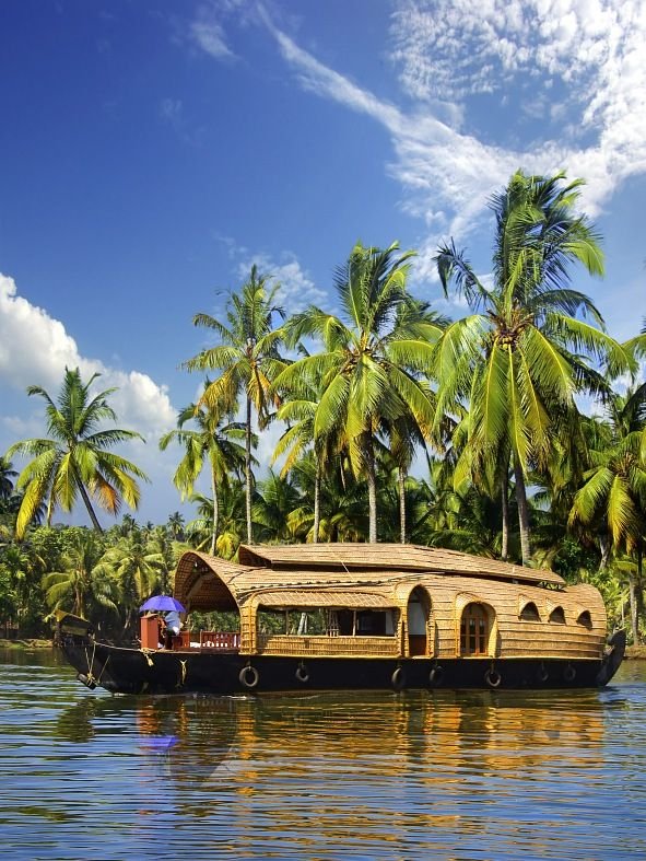 golden triangle and kerala tour