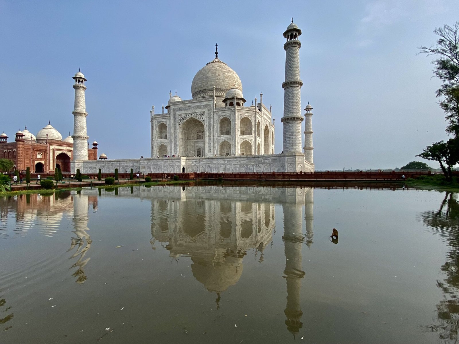 Taj Mahal perfectly reflected in the long rectangular pool — a classic and iconic view from the central garden pathway